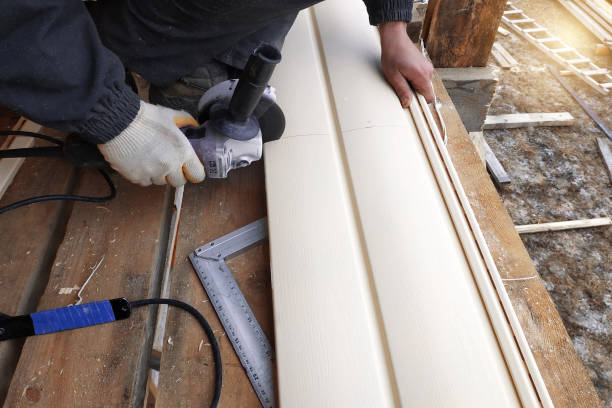 Best Fascia and Soffit Installation  in Edgewood, MD